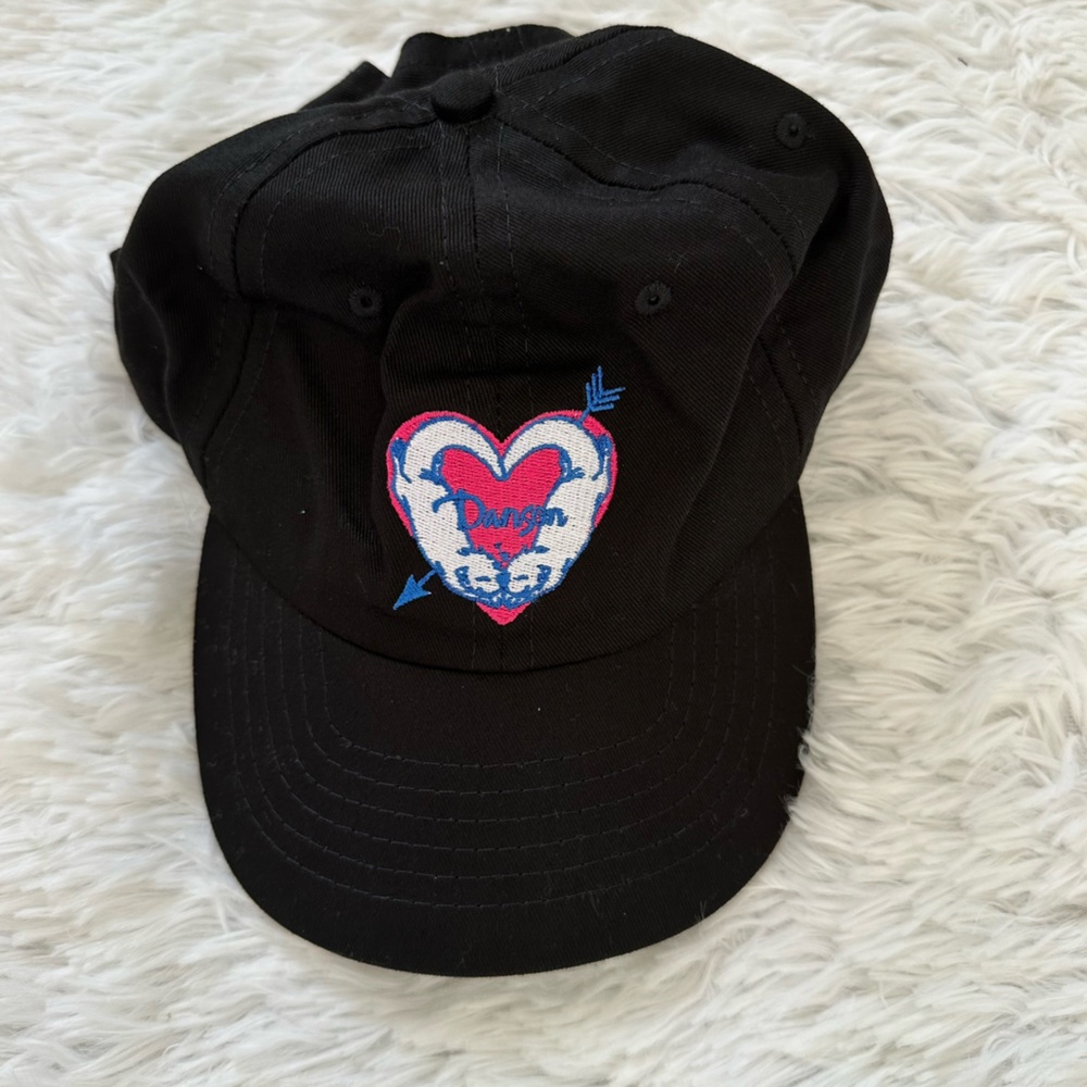 NWOT Danson Dad Hat